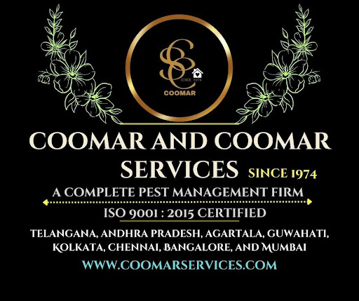 https://coomarservices.com/termite-control
