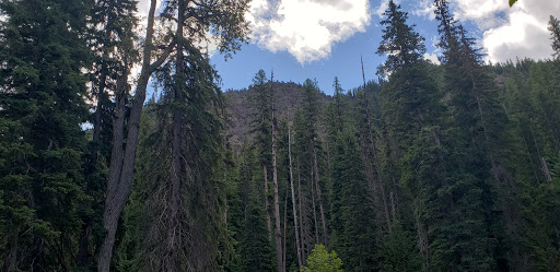 Salmon Cove Group Site Gallery - United States
