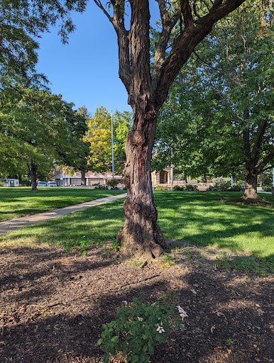 Huron Park - Visual