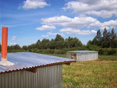 Photos of Project Little Drops (Hope For Hope)