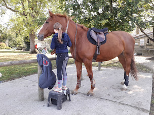 Photo n°3 de Centre Equestre De La Fregonniere à Écurat (Pension pour chevaux)