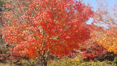 Photos of 산호가든농원