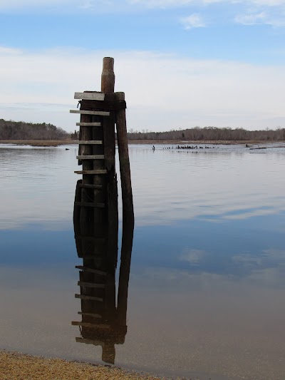 Photos of Maurice River Bluffs Preserve