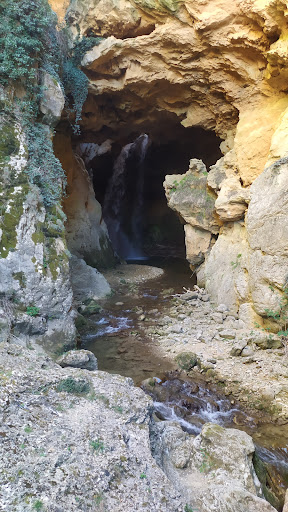 Focín de las Parras
