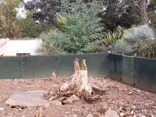 Tropical Zoo Gallery - France