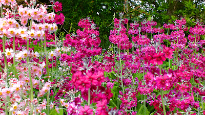 Photos of Knockpatrick Gardens