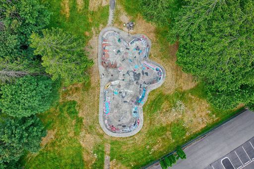 Carnation Skatepark - Thumbnail