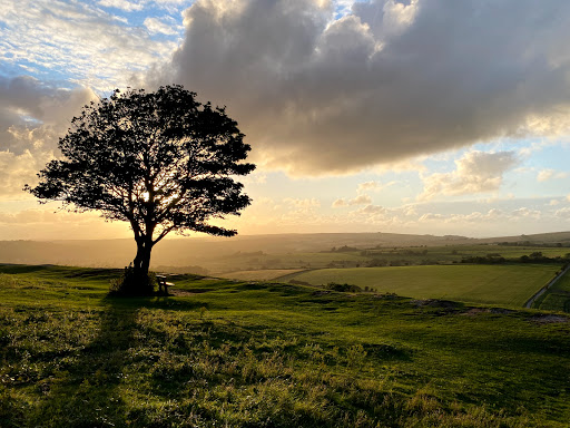 National Trust - Cissbury Ring