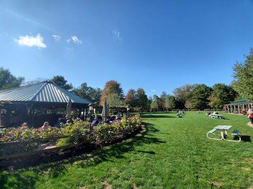 Narcisi Winery Gallery - United States