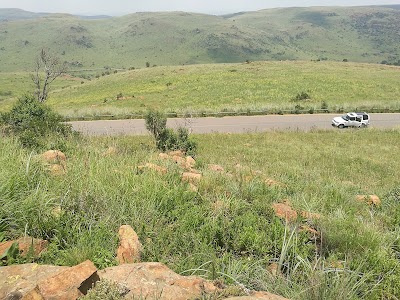 Photos of Suikerbosrand Nature Reserve