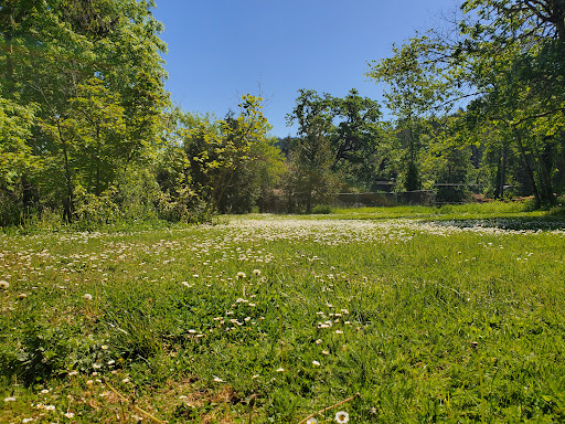 Jesse Maine Memorial Park - Thumbnail