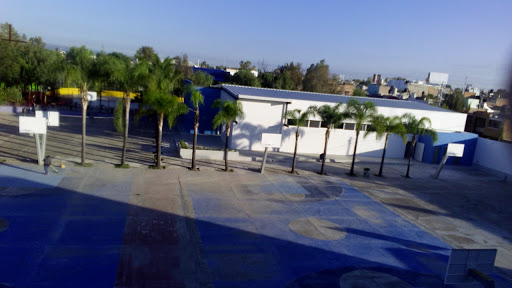 INSTITUTO MARGIL - Visual
