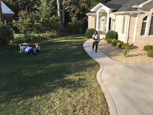 City Hound Professional Movers - Thumbnail