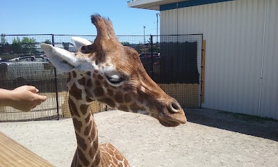 Photos of The Watering Hole Safari and Waterpark