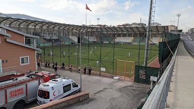 Sultanbeyli Gölet Futbol Sahası