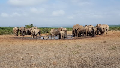 Photos of Spekboom Lookout