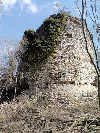 Geçici Hayvan Bakım Evi