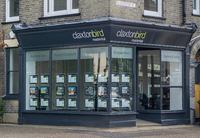 ClaxtonBird