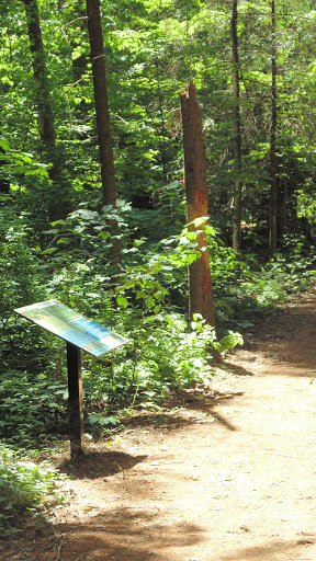 Boisé du Parc équestre - Thumbnail