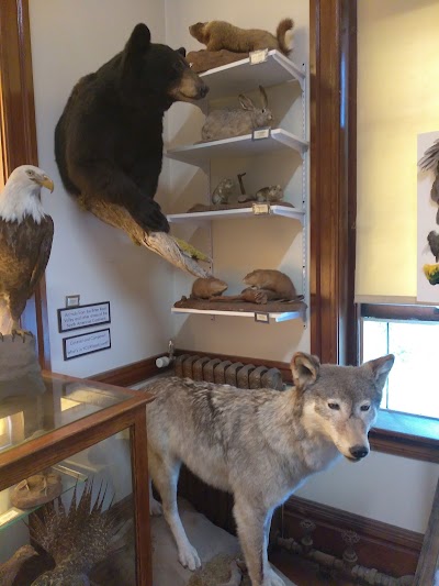 Ravalli County Museum