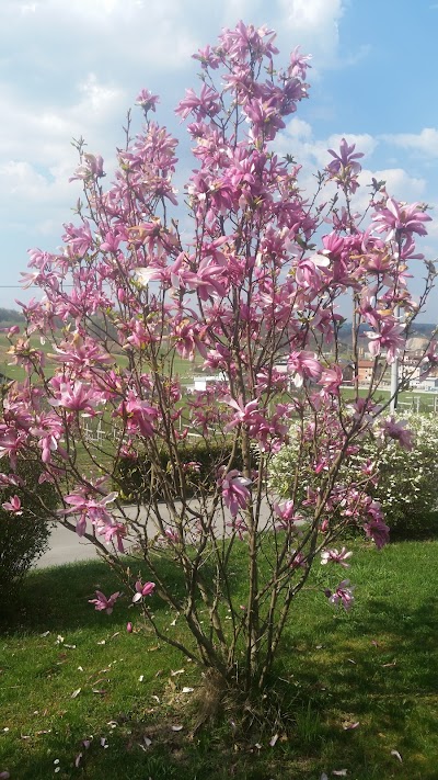 Photos of Maja Commerc Cazin