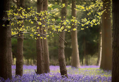 Alan Ranger Photography
