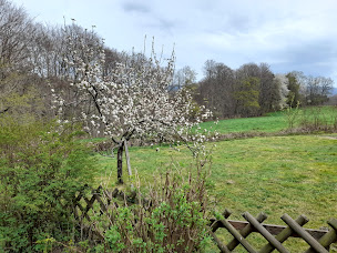 Photo n°8 de Gite du bois blanc à Saint-Clément (Lodge)