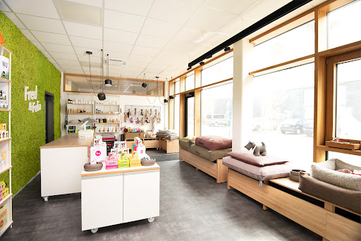 Fred & Felia Store (Bamberg ERBA) - Thumbnail