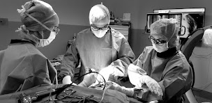 Photo n°3 de Dr Giovanni MANZI à Écully (Chirurgien orthopédiste)