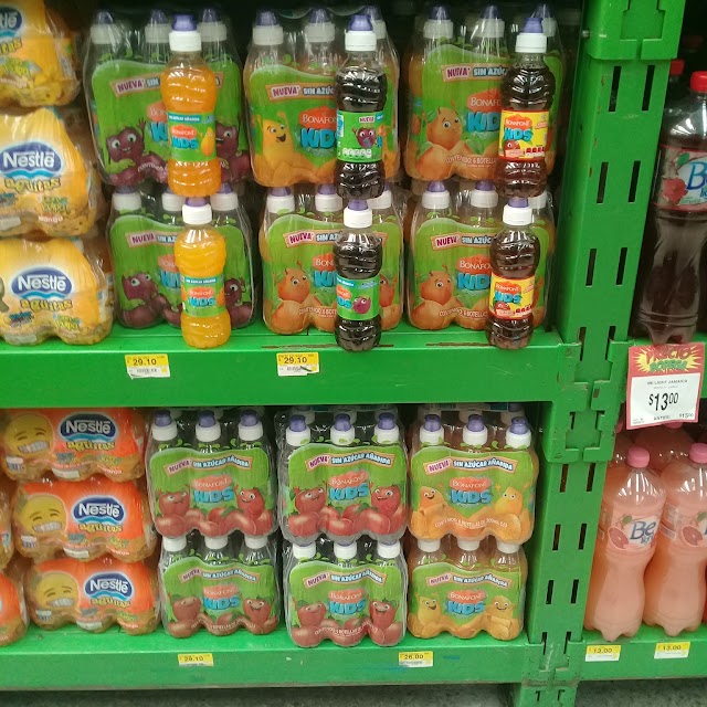Bodega Aurrerá Lomas Estrella