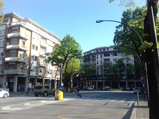 Treviso FS - Visual
