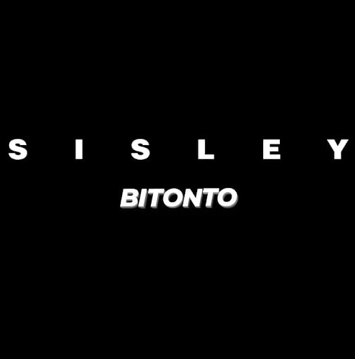 Sisley Bitonto - Visual