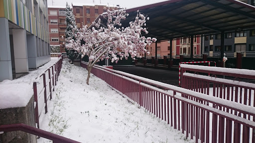 CEIP Las Viñas HLHI - Thumbnail