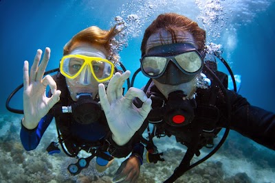 Photos of SERIAL DIVERS ST BARTH - DIVING CENTER
