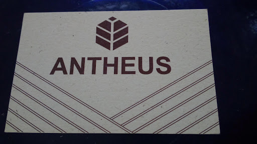 Antheus - Visual