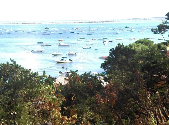 La Pointe Aux Chevaux