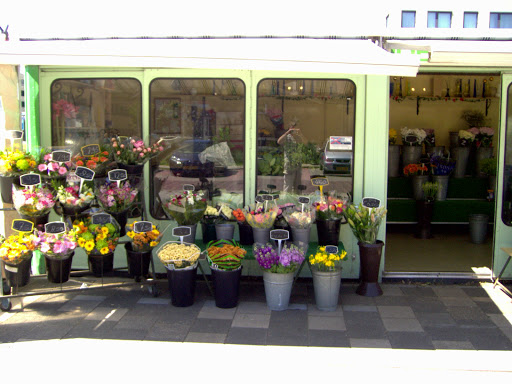 Bloemenhandel ,,Joco''
