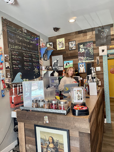 Caffeinated Cat - Visual