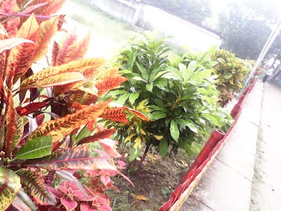 Photos of Barind Medical College cafe