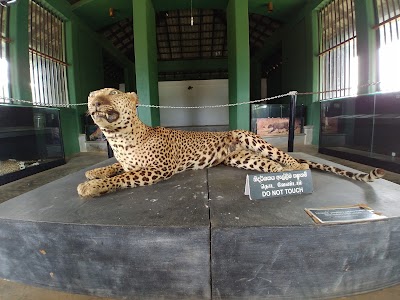 Photos of Yala National Park Museum