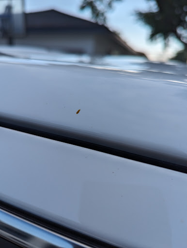 ZPR’s House of Car Wash - Thumbnail