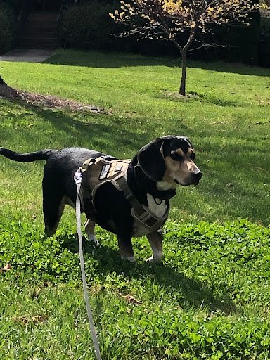 Hopkins Road Animal Hospital - Thumbnail