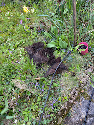 Photo n°15 de Di Maria assainissement et Nettoyage à Sassenage (Service de nettoyage et d'entretien)