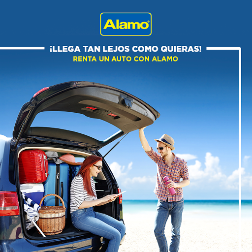 Alamo Renta de Autos