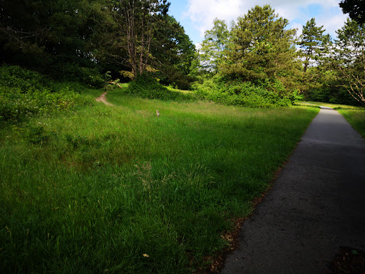 Veendam Borgerswold - Thumbnail