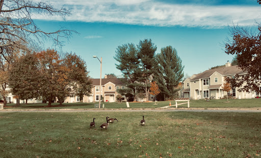 Plainsboro Township Clerk Office