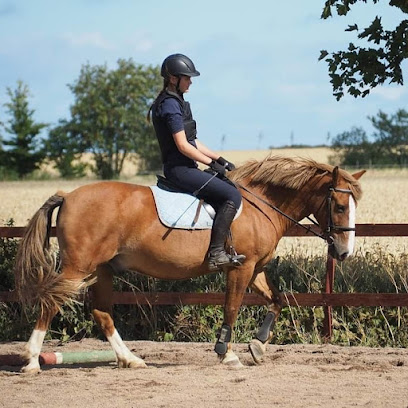 Kolsbro Häst och Fritid