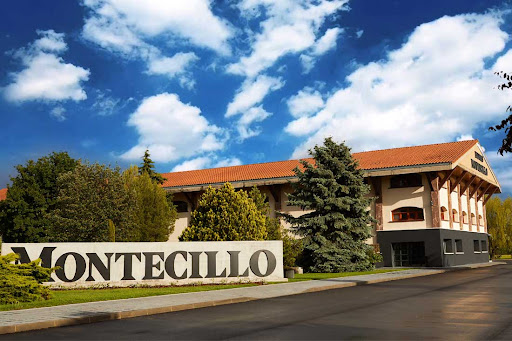 Bodegas Montecillo - Visual