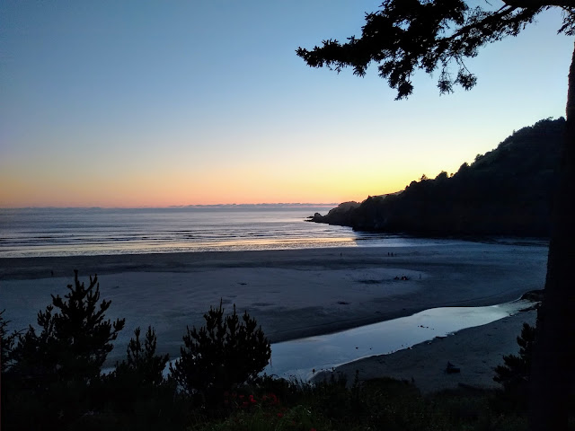 Starfish Point by null