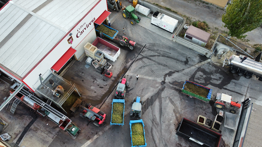 Carviresa Barcelona by null